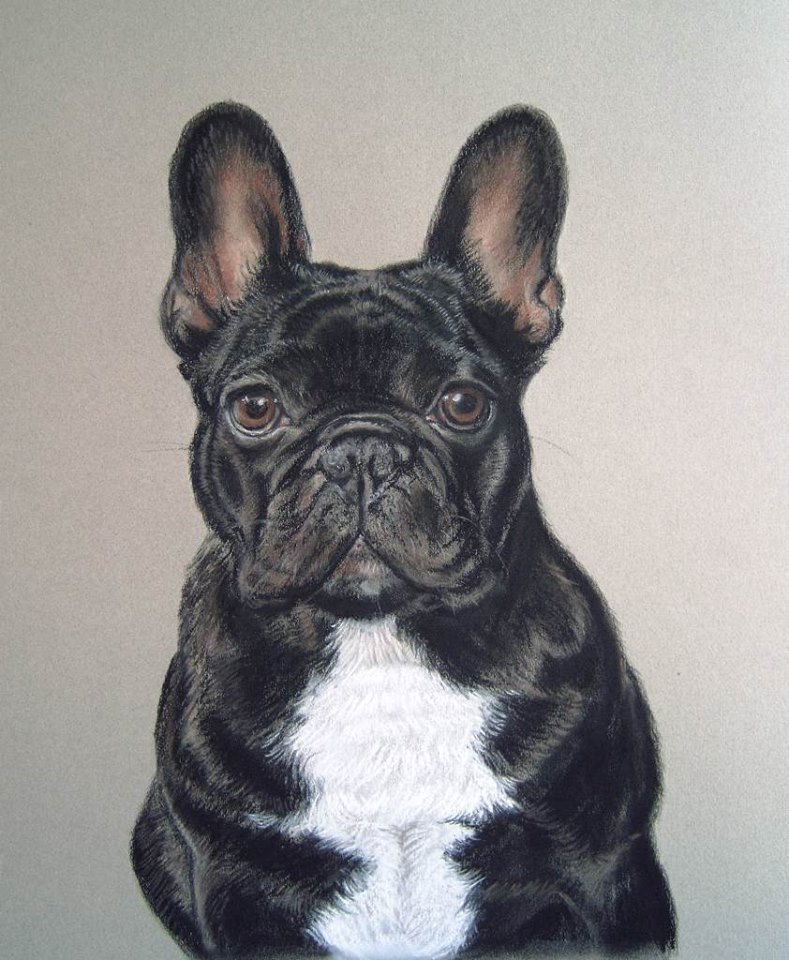 Dierenportret-Franse-Bulldog-Max-in-pastel-40x50cm.jpg