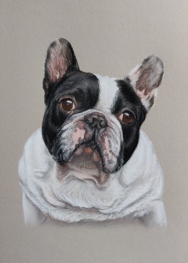 Dierenportret-Franse-bulldog-Guusje-in-pastel-21x30cm.jpg