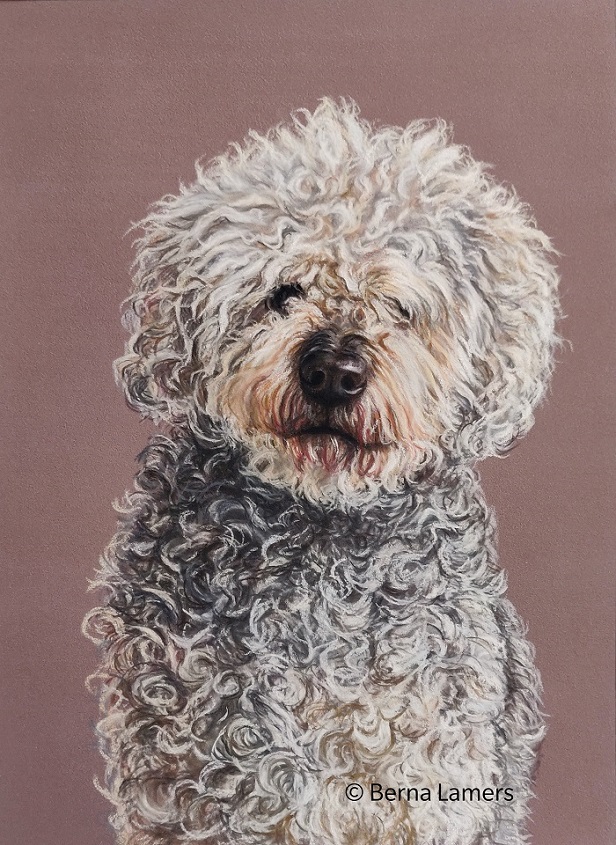 Dierenportret-hond-Indy-in-opdracht-pastel-21x30cm.jpg