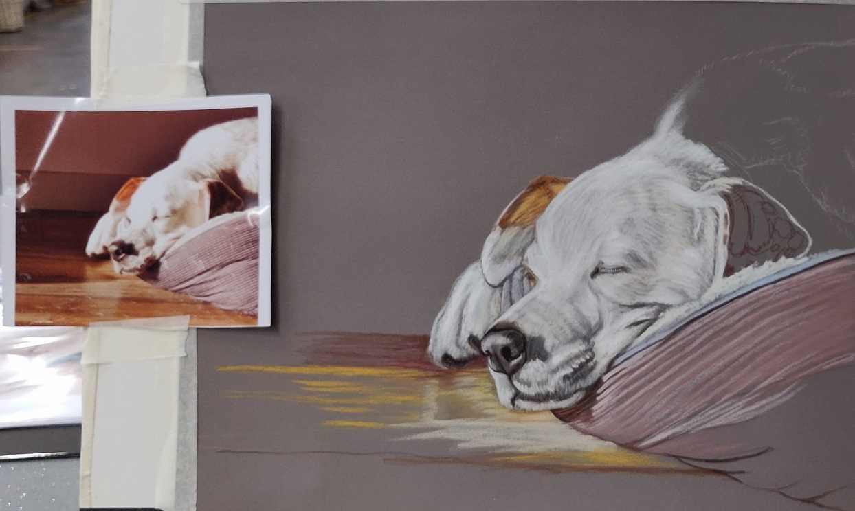 Dierenportret-hond-Timmie-in-pastel-40x50cm.jpg
