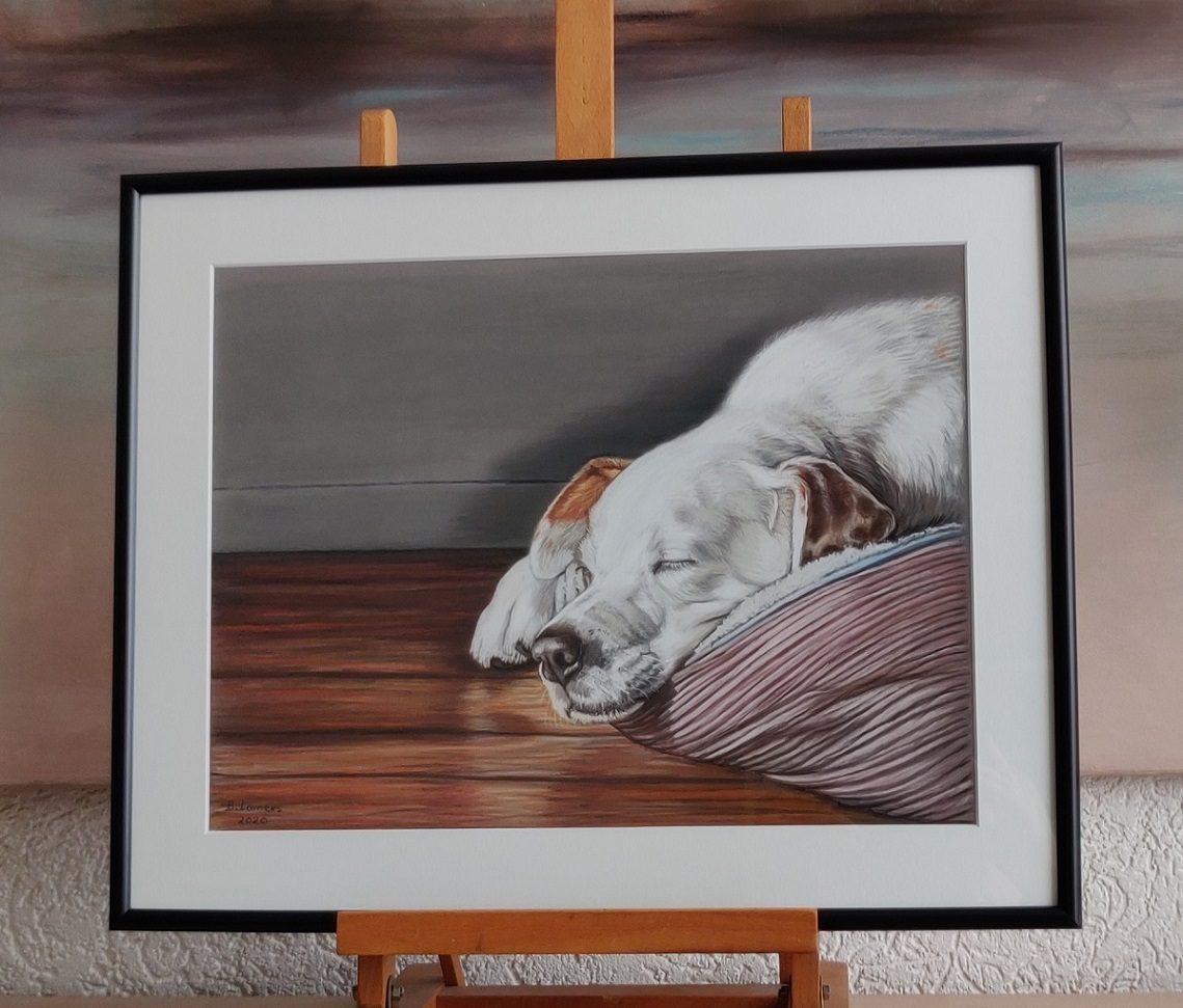 Dierenportret-hond-Timmie-in-pastel-40x50cm_-ingelijst.jpg
