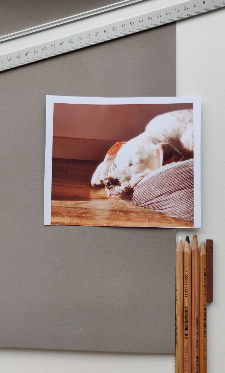 Dierenportret-hond-Timmie-pastel-40x50_cm.jpg