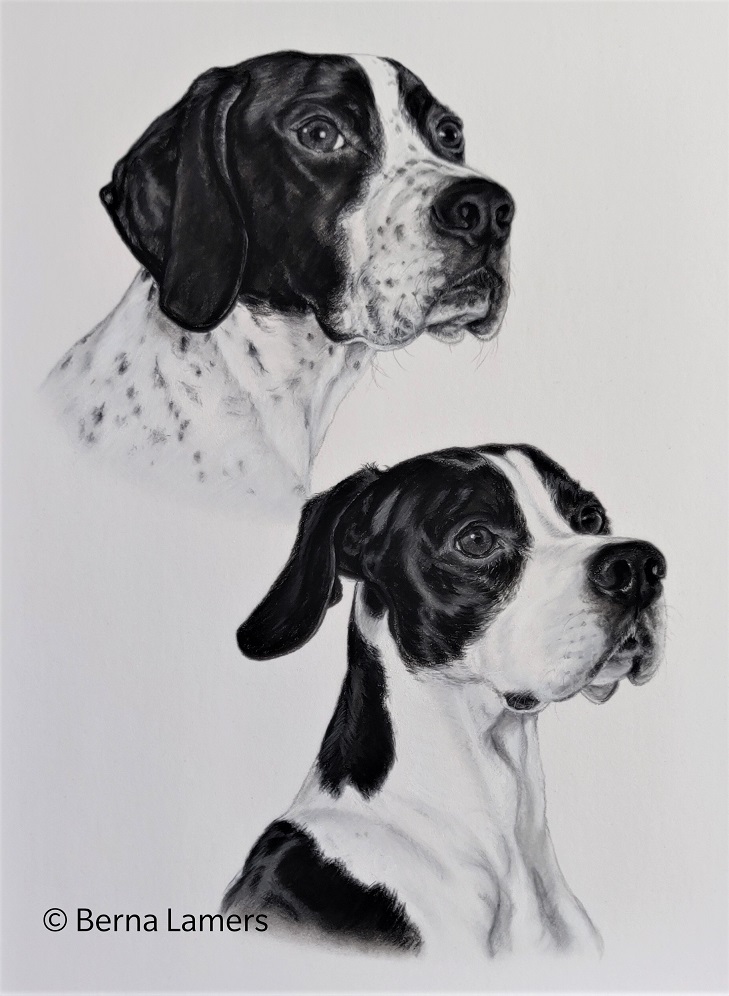 Dierenportret-honden-pastel-zwart-wit-_30x40cm-opdracht.jpg
