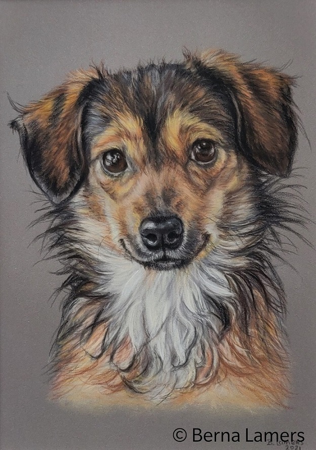Dierenportret-hondje-Amy-pastel-15x21cm-opdracht.jpg