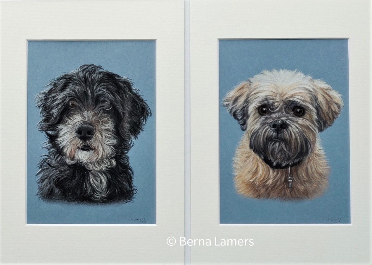 Dierenportret-hondjes-pastel-15x21cm.jpg