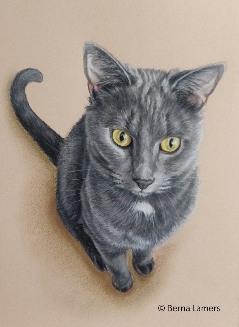 Dierenportret-kat-pastel-21x30cm-opdracht.jpg