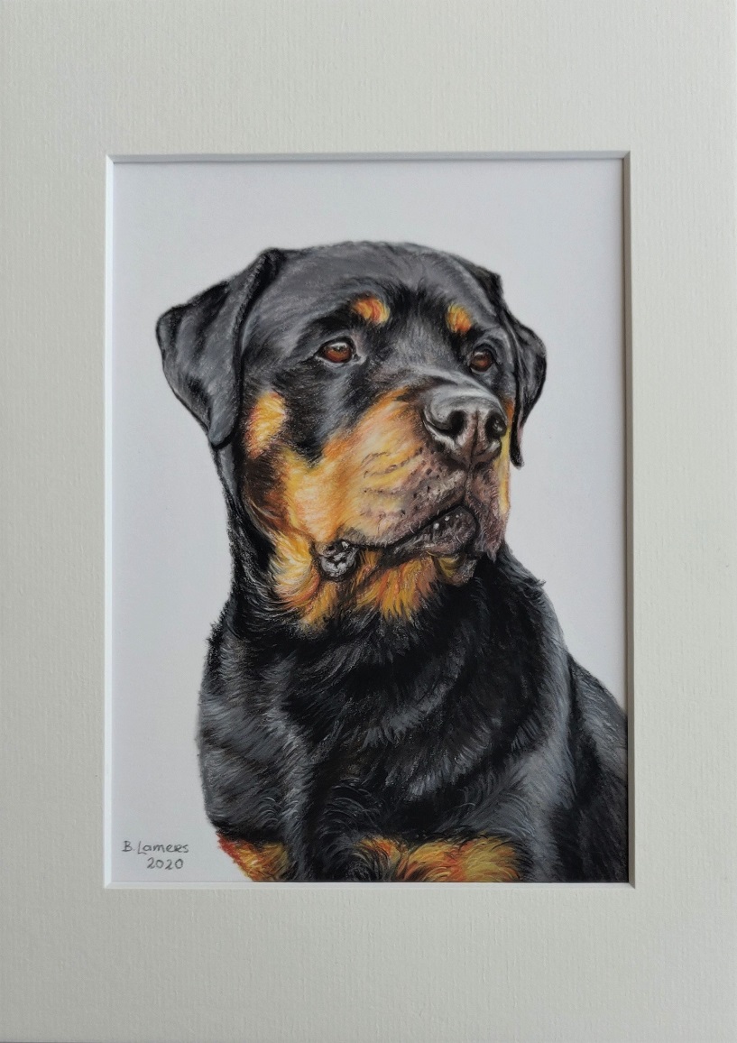 Honden_portret_getekend_in_pastel_15x21cm_incl._passepartout_21x30cm.jpg