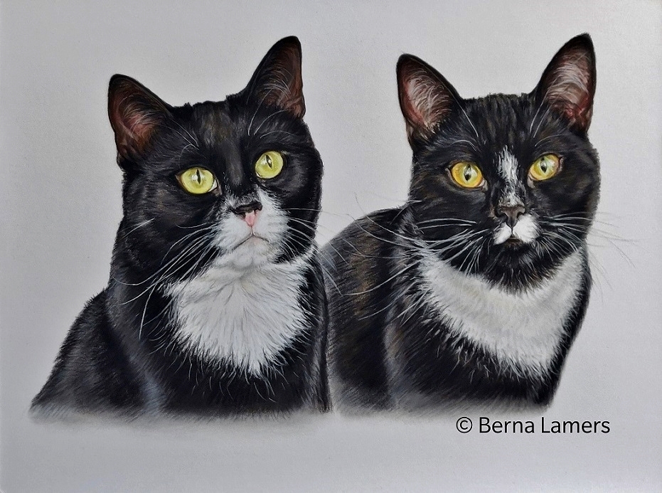 Kattenportretten_getkend_met_pastelkrijt_30x40cm.jpg