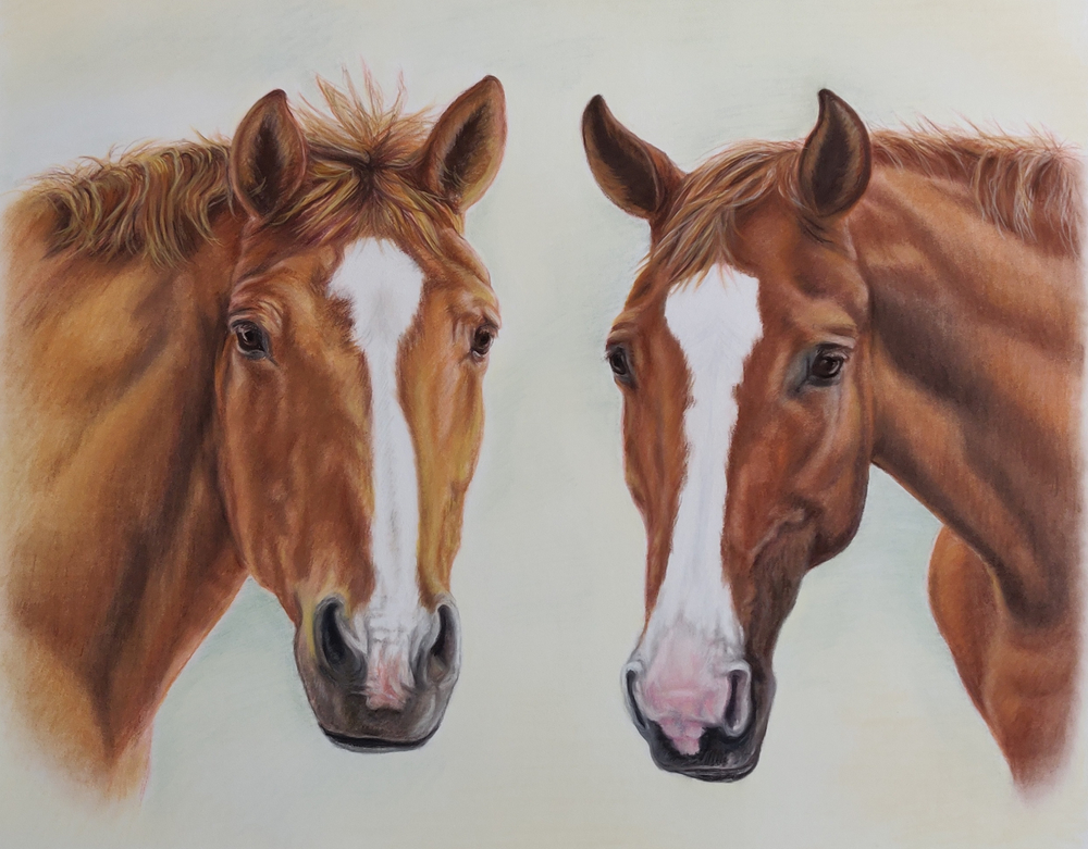 Paarden-portretten-pastel-40x50cm-opdracht.jpg