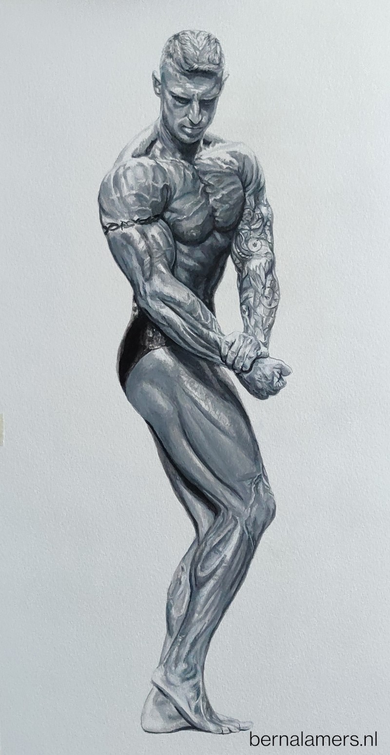 bodybuilding-portret-acryl-op-papier-55x28cm-opdracht.jpg